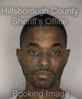 Merritt Vincent - Hillsborough County, Florida 