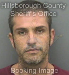 Davis Roger - Hillsborough County, Florida 