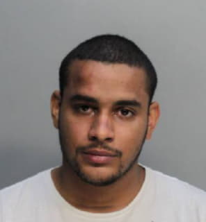 Hernandez Rayniel - Dade County, Florida 