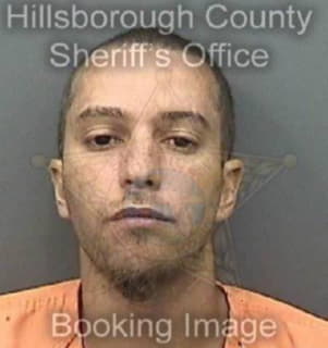 Delourdes Rodrigo - Hillsborough County, Florida 