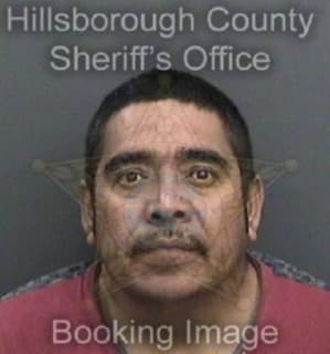 Arrezabrego Hector - Hillsborough County, Florida 