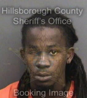 Pierre Vincent - Hillsborough County, Florida 