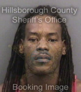 Mitchel Reginald - Hillsborough County, Florida 