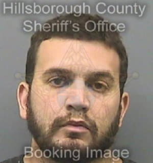 Roger Anthony - Hillsborough County, Florida 