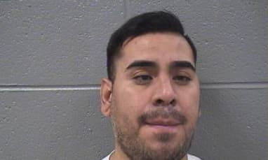 Chavez David - Cook County, Illinois 