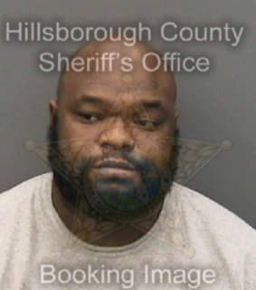 Mcdaniel David - Hillsborough County, Florida 