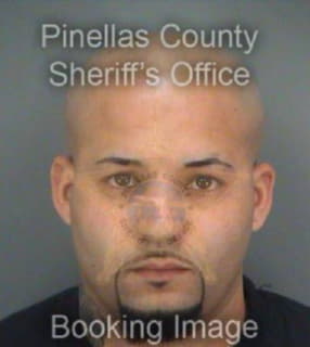 Gonzalez Amado - Pinellas County, Florida 