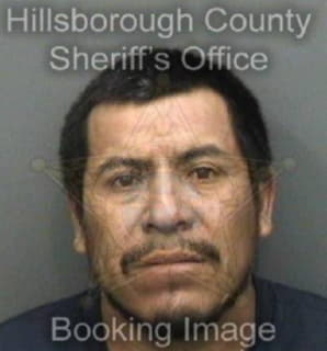 Martinez Bulmaro - Hillsborough County, Florida 