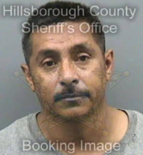 Palomares Carlos - Hillsborough County, Florida 