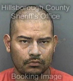 Rodriguez Carlos - Hillsborough County, Florida 