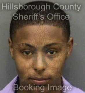 Devine Clarice - Hillsborough County, Florida 