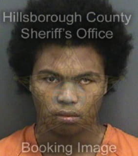 Whitfield Devin - Hillsborough County, Florida 