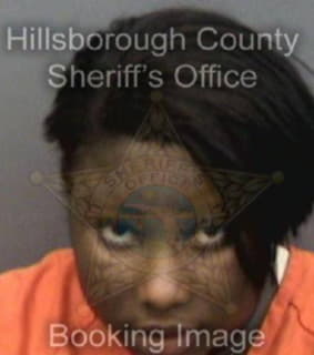 Julesaint Nelly - Hillsborough County, Florida 