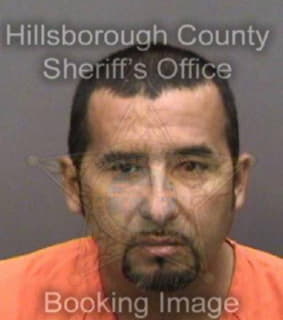 Mondragon Saul - Hillsborough County, Florida 