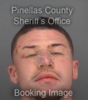 Wilson Christopher - Pinellas County, Florida 