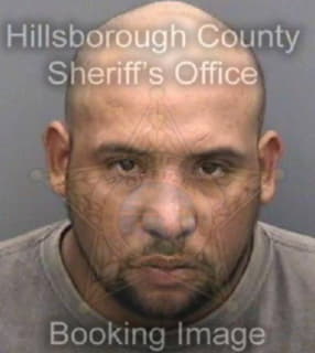 Ortiz Gerardo - Hillsborough County, Florida 