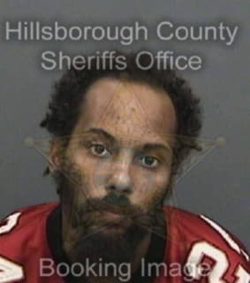 Matthews Michael - Hillsborough County, Florida 