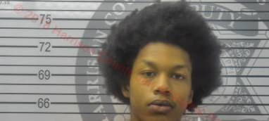 Owens Tyrese - Harrison County, Mississippi 