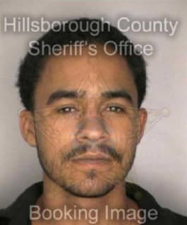 Perez Anthony - Hillsborough County, Florida 