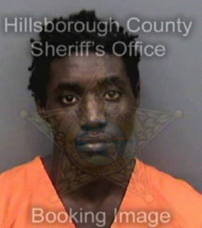 Peterson Johntrel - Hillsborough County, Florida 