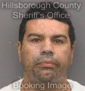 Rivera Rolando - Hillsborough County, Florida 