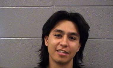 Torres Armando - Cook County, Illinois 