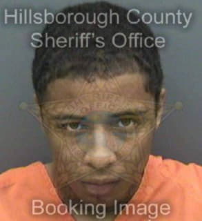 Lewis Darrius - Hillsborough County, Florida 