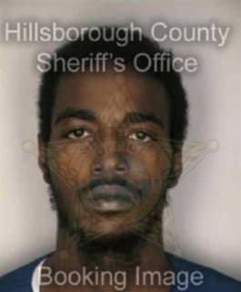 Sirmons Henry - Hillsborough County, Florida 