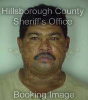 Castro Norin - Hillsborough County, Florida 