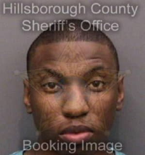 Williams Armario - Hillsborough County, Florida 