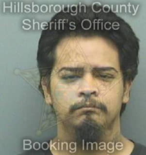 Rodriguez Francisco - Hillsborough County, Florida 