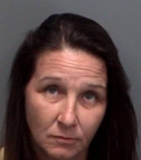 Ray Sherri - Pinellas County, Florida 