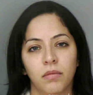 Dejesus Arlene - Polk County, Florida 