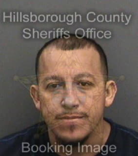 Cruz Delfino - Hillsborough County, Florida 