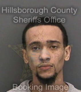 Bradley Eric - Hillsborough County, Florida 