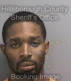 Lewis John - Hillsborough County, Florida 