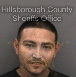 Amores Johnathan - Hillsborough County, Florida 