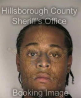 Mitchell Kevin - Hillsborough County, Florida 