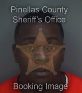 Jones Damion - Pinellas County, Florida 