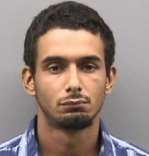 Aponte Jorge - Hillsborough County, Florida 