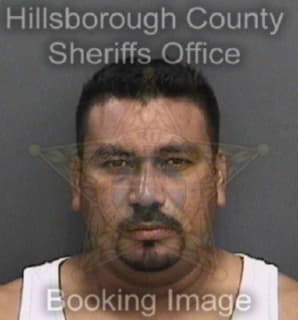 Alvaradoruiz Allan - Hillsborough County, Florida 