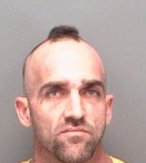 Robinson Michael - Pinellas County, Florida 