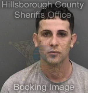 Diaz-Granda Saidel - Hillsborough County, Florida 