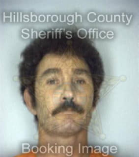 Quick David - Hillsborough County, Florida 