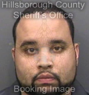 Payano Luis - Hillsborough County, Florida 