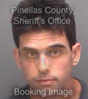 Mitchell David - Pinellas County, Florida 