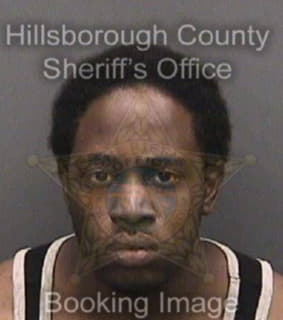 Wyche Matthew - Hillsborough County, Florida 