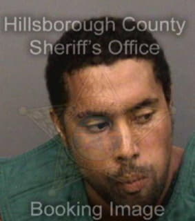 Pearson Pedro - Hillsborough County, Florida 