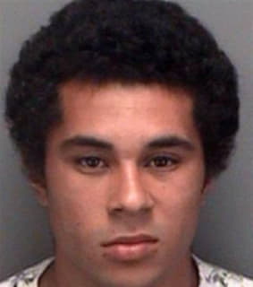 Ross Justin - Pinellas County, Florida 