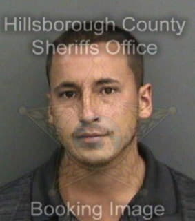 Reyes Servando - Hillsborough County, Florida 